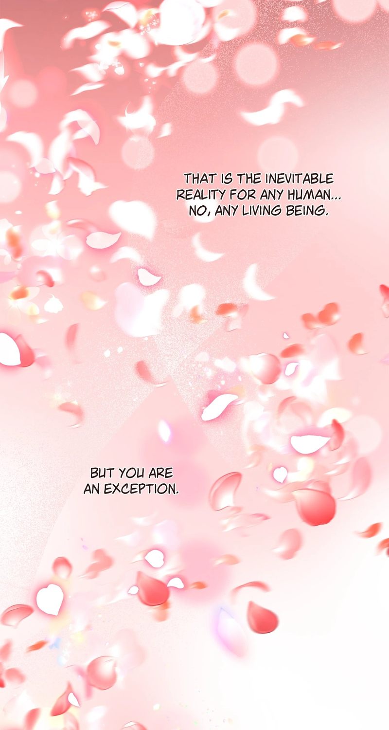 Skeleton Soldier Couldn't Protect the Dungeon - Chapter 334 Page 146