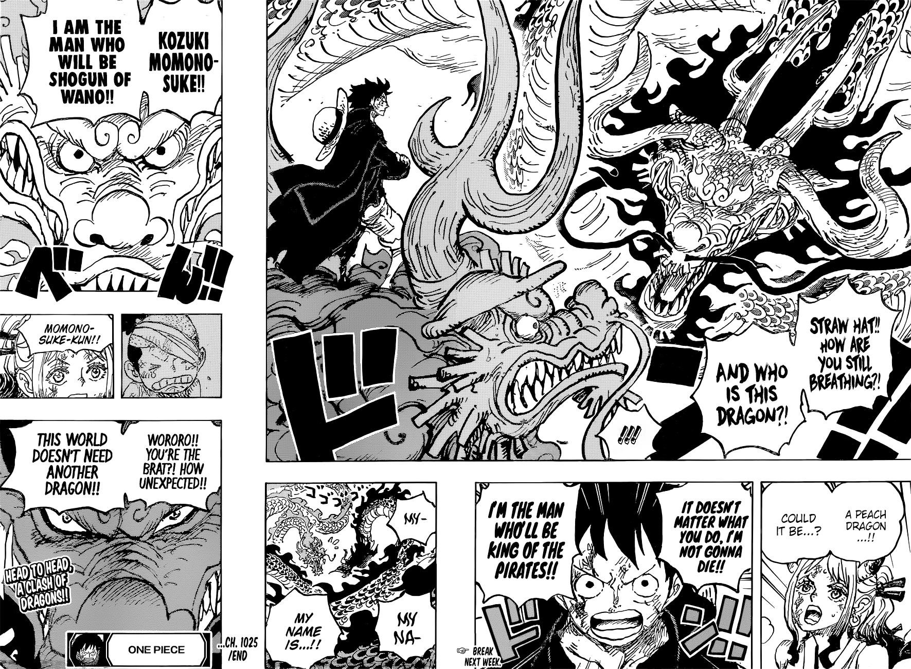 One Piece - Chapter 1025 Page 16