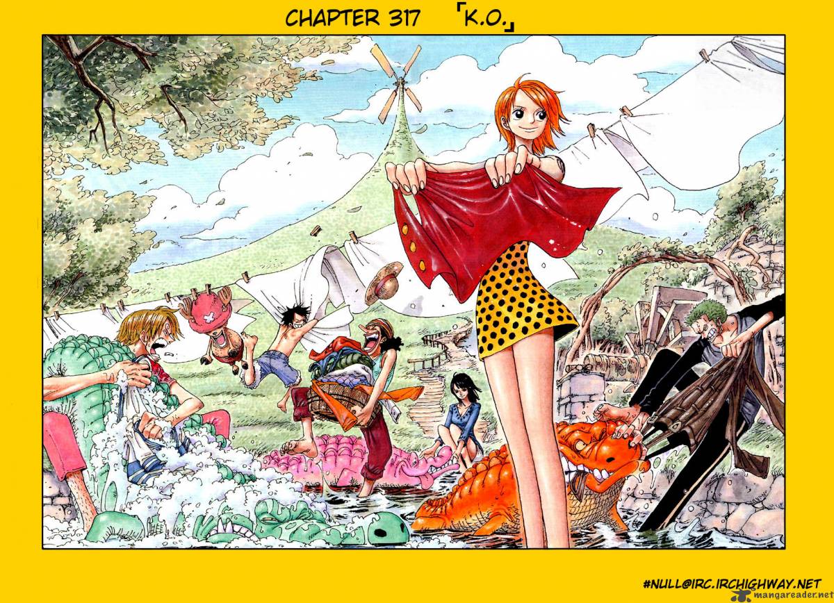 One Piece - Chapter 317 Page 1