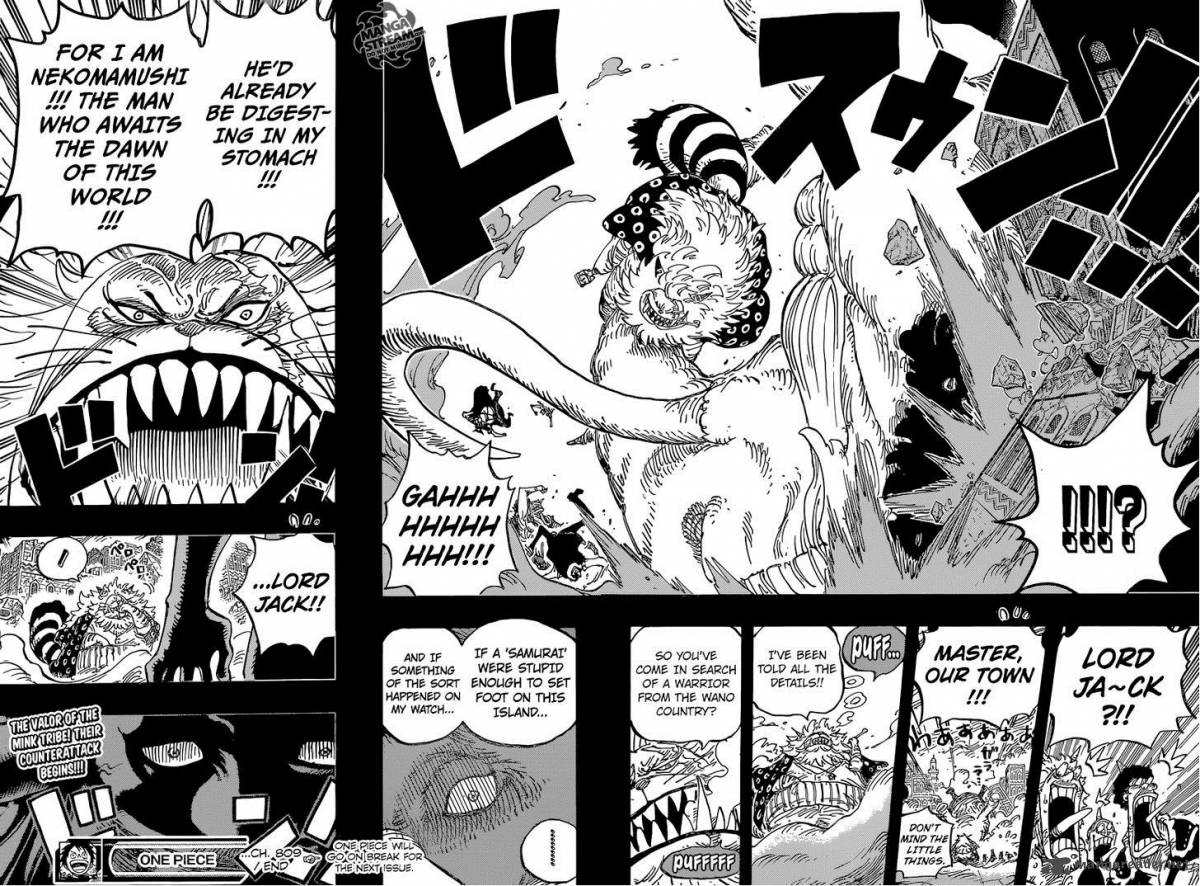 One Piece - Chapter 809 Page 18