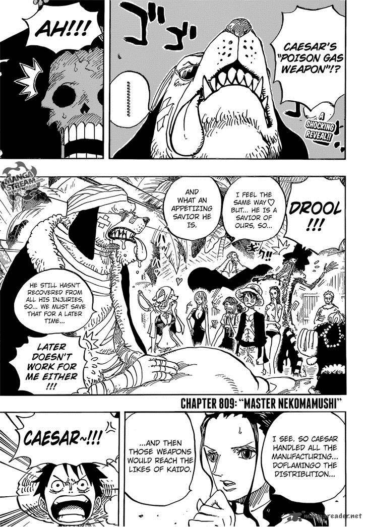 One Piece - Chapter 809 Page 5