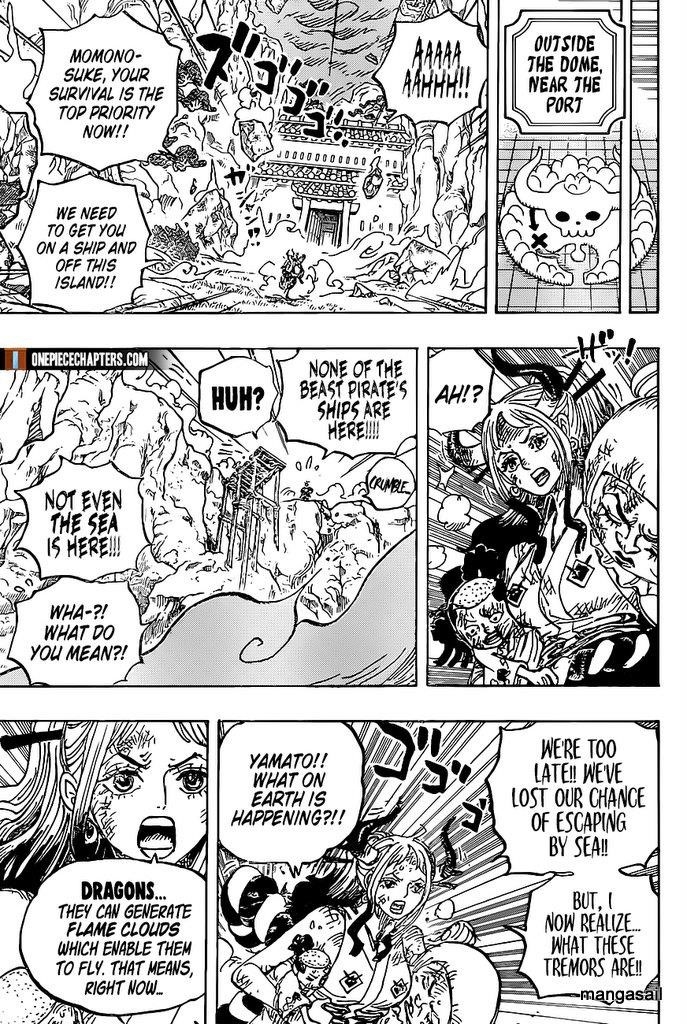 One Piece - Chapter 997 Page 15