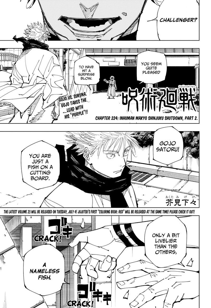 Jujutsu Kaisen - Chapter 224 Page 1