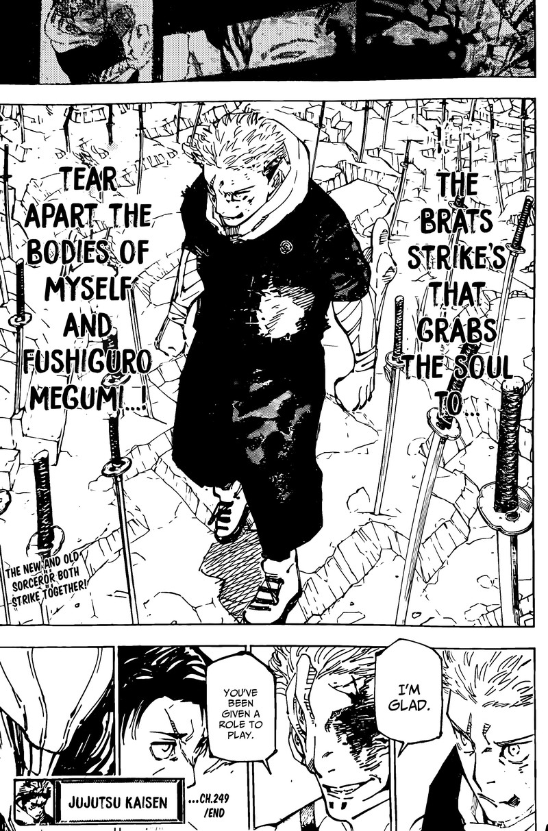 Jujutsu Kaisen - Chapter 249 Page 17