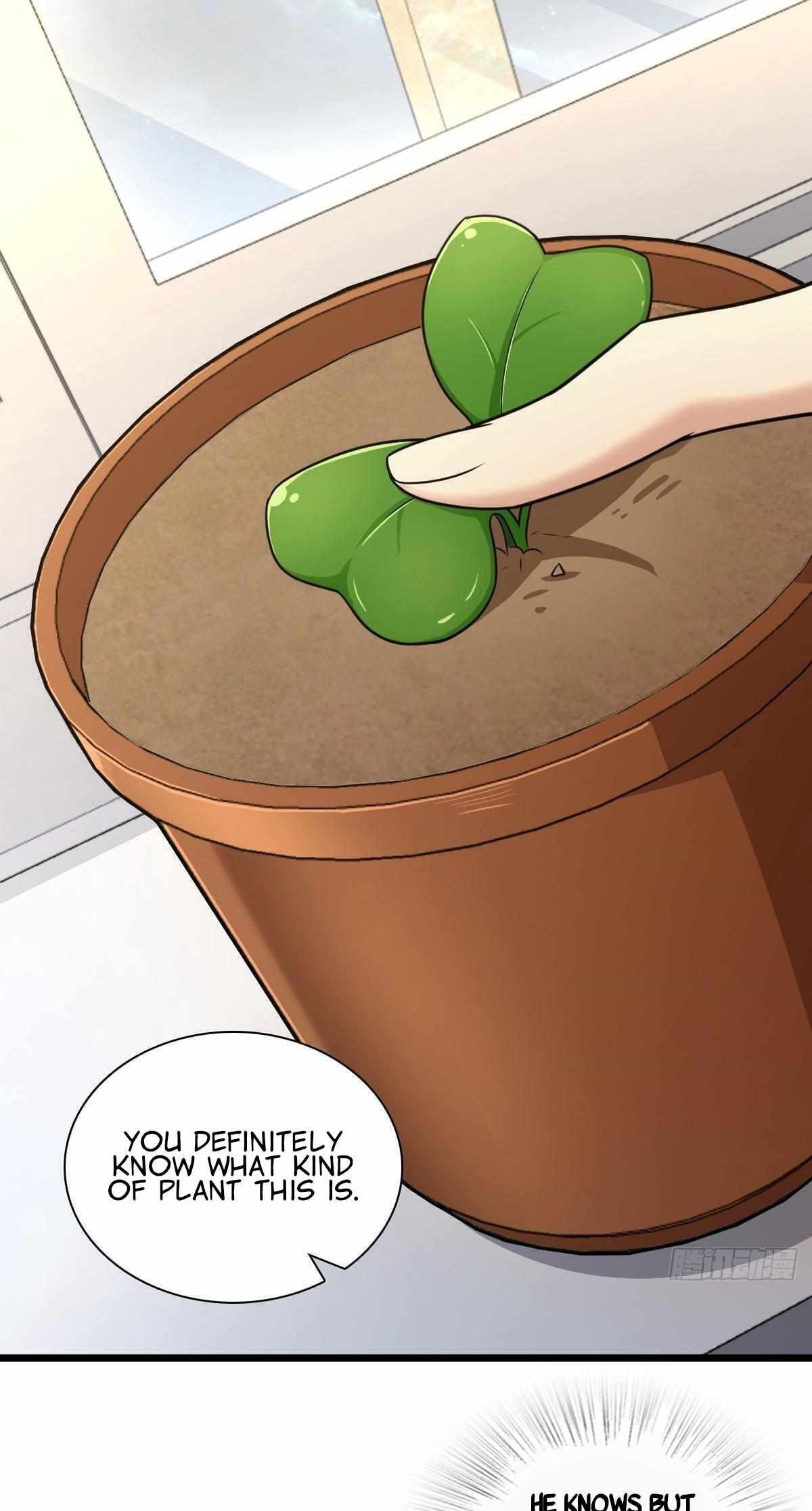 My Wife Is From a Thousand Years Ago - Chapter 284 Page 1
