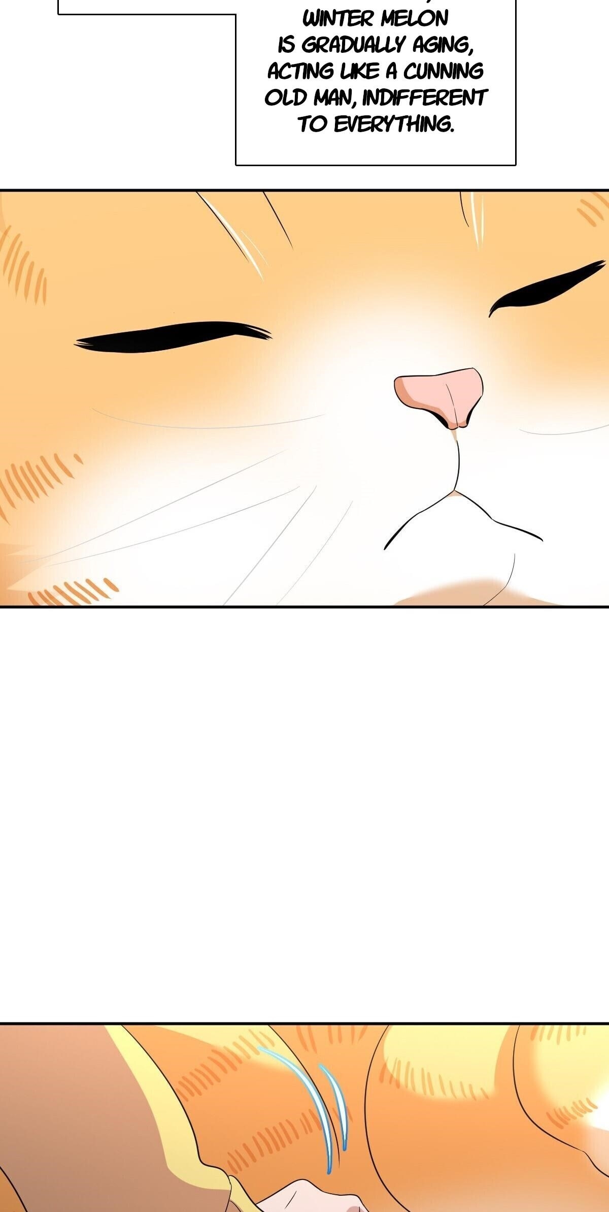 My Wife Is From a Thousand Years Ago - Chapter 355 Page 3
